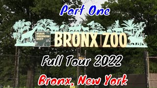 Bronx Zoo Full Tour  Bronx New York  Part One [upl. by Nuris]