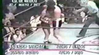 Salvador Sanchez vs Rosalio Badillo 05211977 22 [upl. by Gasperoni]