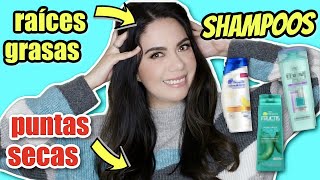 SHAMPOOS PARA RAÍCES GRASAS Y PUNTAS SECAS DEL SÚPER Y FARMACIA  MARIEBELLE COSMETICS [upl. by Nnairol]