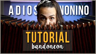 TUTORIAL BANDONEON 2020 🎶  ADIOS NONINO  parte B ✅ fácil de aprender [upl. by Falconer]