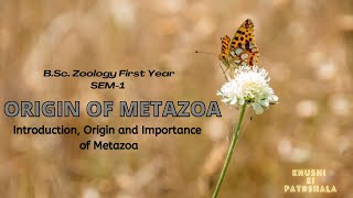 Origin of Metazoan  BSc Zoology Sem 1  Chapter 4  Full Chapter Explained [upl. by Llevert154]