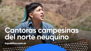 Cantoras campesinas del norte neuquino  Aire Nacional [upl. by Merralee38]