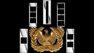 What is the difference between a Warrant Officer and Regular Commissioned Officer [upl. by Sobel]