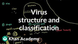 Virus structure and classification  Cells  MCAT  Khan Academy [upl. by Barbey]