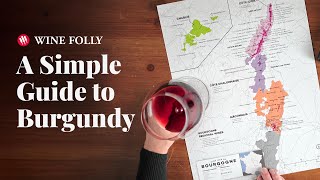 Wine Folly Guide to Burgundy [upl. by Pascasia]