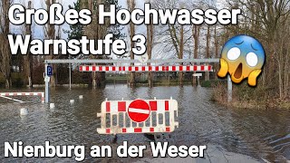 Großes Hochwasser in NienburgWeser Warnstufe 3 😱 [upl. by Semajwerdna]