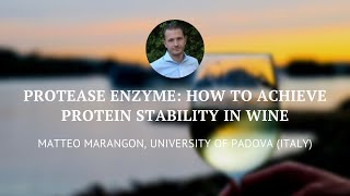 Protease Enzyme Innovative Tool to Achieve Protein Stability in Wine  Part 1 [upl. by Eiramaliehs712]