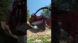 Stump grinding easy [upl. by Yliah]