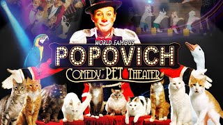 Popovich Comedy Pet Theater  Las Vegas [upl. by Ayahs]