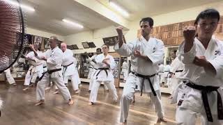 Pinan Yondan  ShorinRyu Kyudokan Hombu Dojo Okinawa [upl. by Eninahpets441]