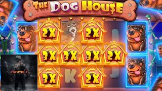 The dog house megaways max win [upl. by Nadaha]