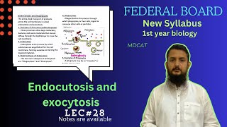 Endocytosis and Exocytosis  class 11 [upl. by Anola]