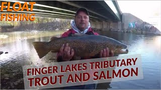 Finger lakes tributary float fishing for landlocked salmon brown trout and rainbow trout [upl. by Clarhe]