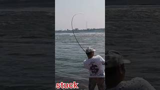 D shock Rod test zakkfishing fishing shortvideo [upl. by Iba]