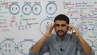 Ch21 Lec 5 Meiosis 1 UrduHindi Lecture FscBsc MDCAT NEET Preparation By M Bilal Chaudhary [upl. by Sancha]