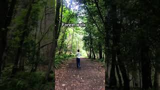 Forest walk in Bowen island 숲속 걷기 nature forestwalk friend canada [upl. by Souza738]