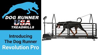 Introducing the Dog Runner Revolution Pro dog treadmill [upl. by Meibers]