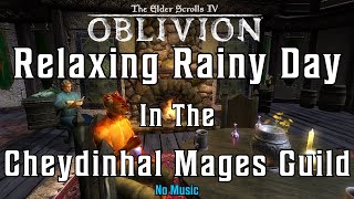 OBLIVION  Rainy Day In The Cheydinhal Mages Guild  Fantasy Ambience [upl. by Llenor]