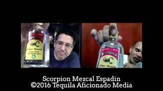 Scorpion Mezcal Espadin Mezcal Review  Tequila Aficionado [upl. by Ayik252]