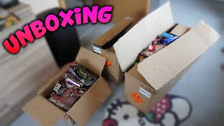 Feuerwerk Restekiste UNBOXING 📦 XXXL für Silvester 20242025 🔥 [upl. by Kassab350]