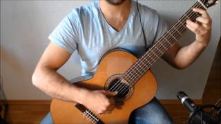 The Bannered Mare  The Elder Scrolls V Skyrim on Guitar [upl. by Millford]