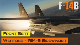 DCS World  F14 Tomcat  Front Seat  Weapons  AIM9 Sidewinder [upl. by Oinotnaesoj]