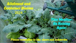 DWW Gardening 2024  This Weather Nothing But Rain [upl. by Blythe]