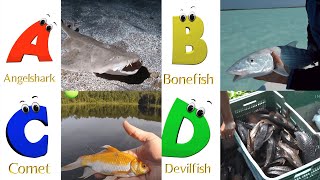 Sea Animals ABC Song  Sea Animals Alphabet Song  Learn The Names of Sea Animals  Learn ABC  Baby [upl. by Pentheam]