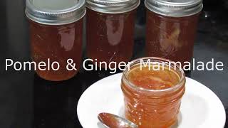 Pomelo and Ginger Marmalade  Tips and Tutorial [upl. by Merceer]