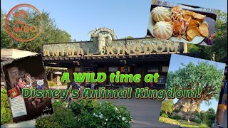 Disneys Animal Kingdom Day [upl. by Annerol]