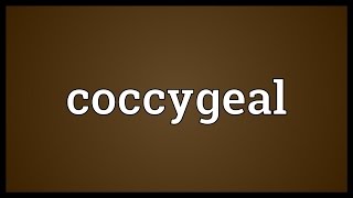 Coccygeal Meaning [upl. by Kiersten]