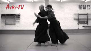 Yoseikan Aikijujutsu demonstration by Hugo Chauveau [upl. by Asiret152]