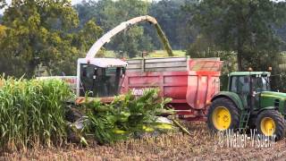 Ensilage de Sorgho fourrager avec une Ensileuse Claas Jaguar 890 [upl. by Callie524]