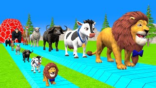 Paint amp Animals CowGorrilaElephantLionBuffaloGoat Fountain Crossing Transformation Cartoon [upl. by Assedo]