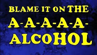 Blame it on the Alcohol  SFM quotWeird Alquot Yankovic  Polka Face [upl. by Dey276]