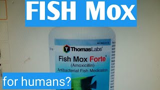 Fish mox for humans [upl. by Jowett]