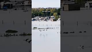 High water in Roermond 🇳🇱14 [upl. by Scotti]