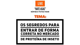 quotBate Asasquot Ep11 Como entrar no mercado de proteína de inseto de forma correta [upl. by Atteniuq]