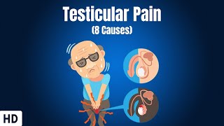 8 Causes Of Testicular Pain [upl. by Marisa]