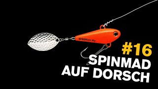 DORSCH angeln mit SpinMad 🎣 TEST auf der OSTSEE [upl. by Akinom443]