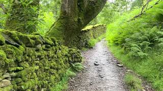 Rydal Water and Rydal Mount Circular foot path [upl. by Roselba]