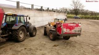 Feeding the Cows  First Scrape Clean [upl. by Sheline571]