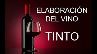 ELABORACIÓN DEL VINO TINTO ✔ [upl. by Ileyan382]