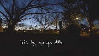 iris by goo goo dolls cover visualiser [upl. by Lela]