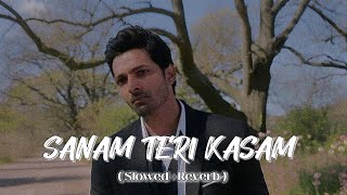 SANAM TERI KASAM  Slowed  Reverb  Songs  Ankit Tiwari amp Palak Muchhal Songs  Lofi songs [upl. by Trebor]