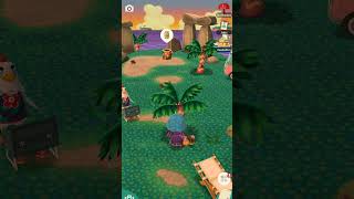 Animal Crossing  Collecting Gyroids animalcrossingpocketcamp animalcrossing [upl. by Ruthven]