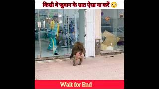 मंकी को आया गुस्सा 😡 monkey Ko aaya gussa viral shortvideo shorts [upl. by Elbertine727]