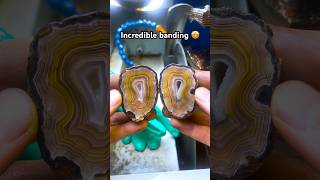 Cutting an amazing golden looking Agate😳🤩 rock happy agate gold shorts gemstone [upl. by Annaxor]