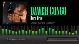 Daweh Congo  Herb Tree Mad Mad Riddim [upl. by Anirtep]