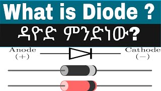 All about Diodes Explained in 2 minutes  ስለ ዳዮድ በሁለት ደቂቃ ይረዱ electricalengineering electronics [upl. by Llekram]